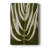 Organic Bloom III -Gallery Wrapped Cavas-1434877922