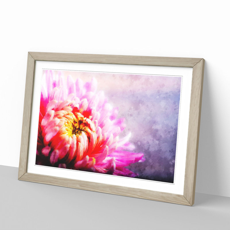 Pink Chrysanthemum Flower - Framed Print, 48cm H x 65cm W x 2cm D, Oak Framed