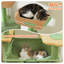 Arbre à chat robuste pour grands chats, tour de chat haute de 81 pouces avec 2 perchoirs, 2 condos et hamac spacieux, très grand XL avec 7 poteaux à griffer pour chats adultes de 20 lb et plus-511798824