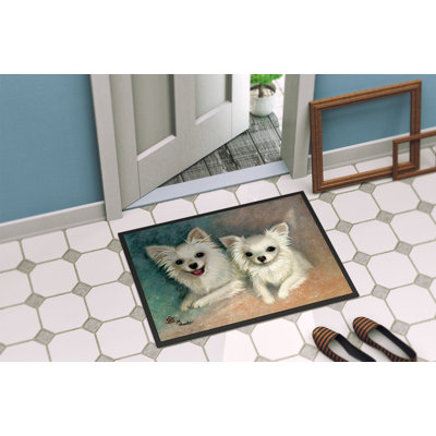 Non-Slip Outdoor Doormat