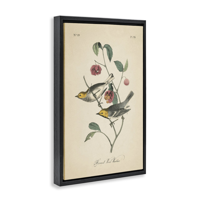 Toile flottante rétro encadrée dorée par Wild Apple, Cadre flottant noir de jais, H 25 po x l 17 po