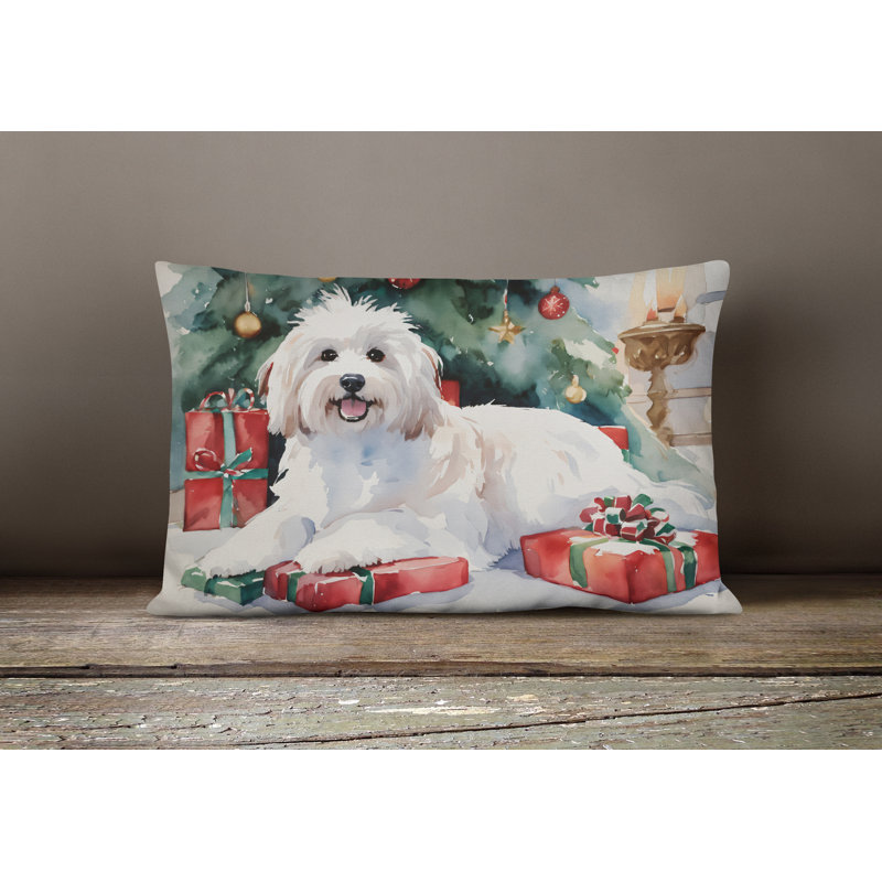 Other/No Pattern Outdoor Throw Pillow