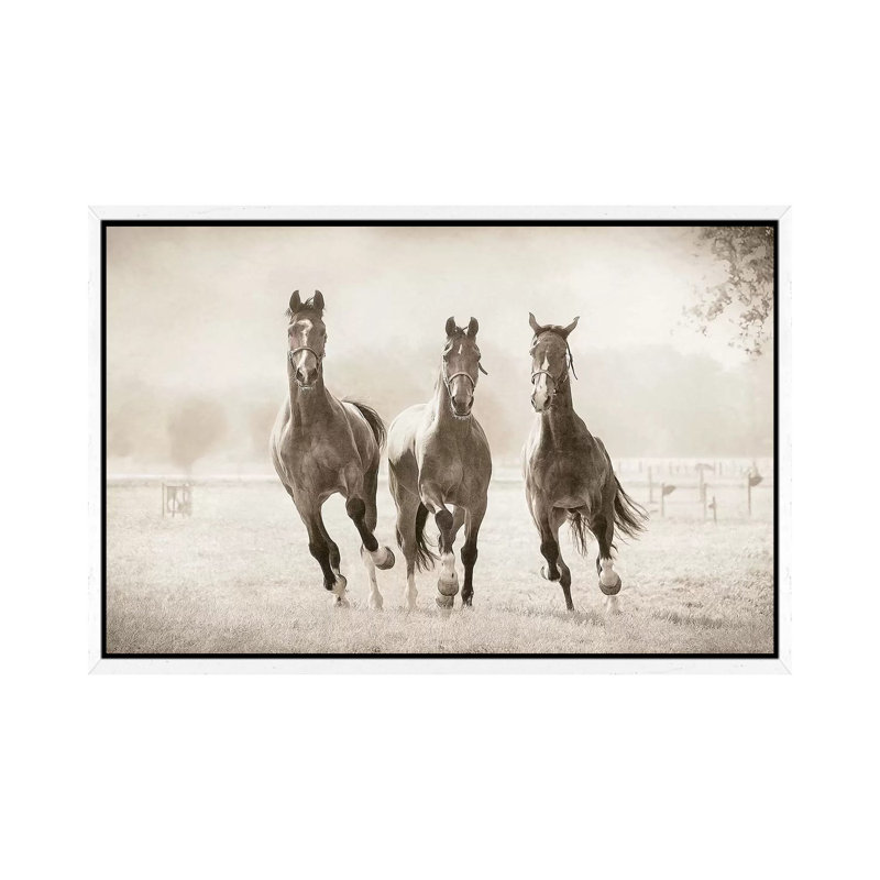 The Young Ones by Lars Van De Goor - Print on Canvas, 66.04 cm H x 45.72 cm W, White Framed