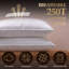 Lot de 2 oreillers Hôtel Collection avec housse en coton, format King, garnissage confortable en fibres synthétiques 1,5D pour un confort et un soutien optimaux, oreillers rayés blancs, 51 x 91 cm-1420986067