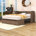 Light Walnut