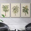 Les Palmiers II - Ensemble de 3 reproductions encadrées sur toile-97811931-97811938