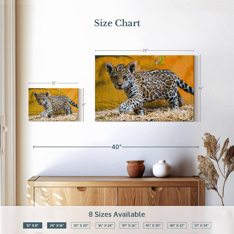 Brampt Jaguar Cub, 16" H x 24" W