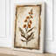 Antique Specimen Botanical - Wrapped Canvas-1620186386-1620186388