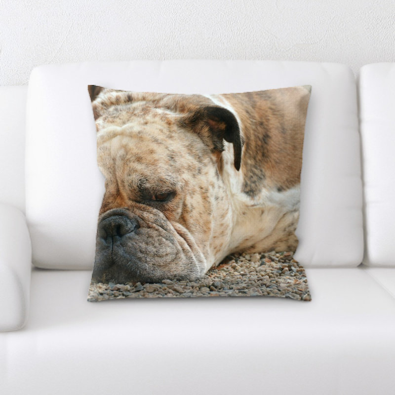 Coussin pour chien