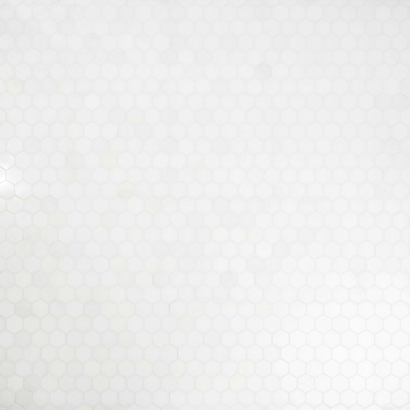 Thassos 2" Hexagon Polished Marble Mosaic Tile