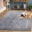 Sutton Performance Oriental Rug-91048009