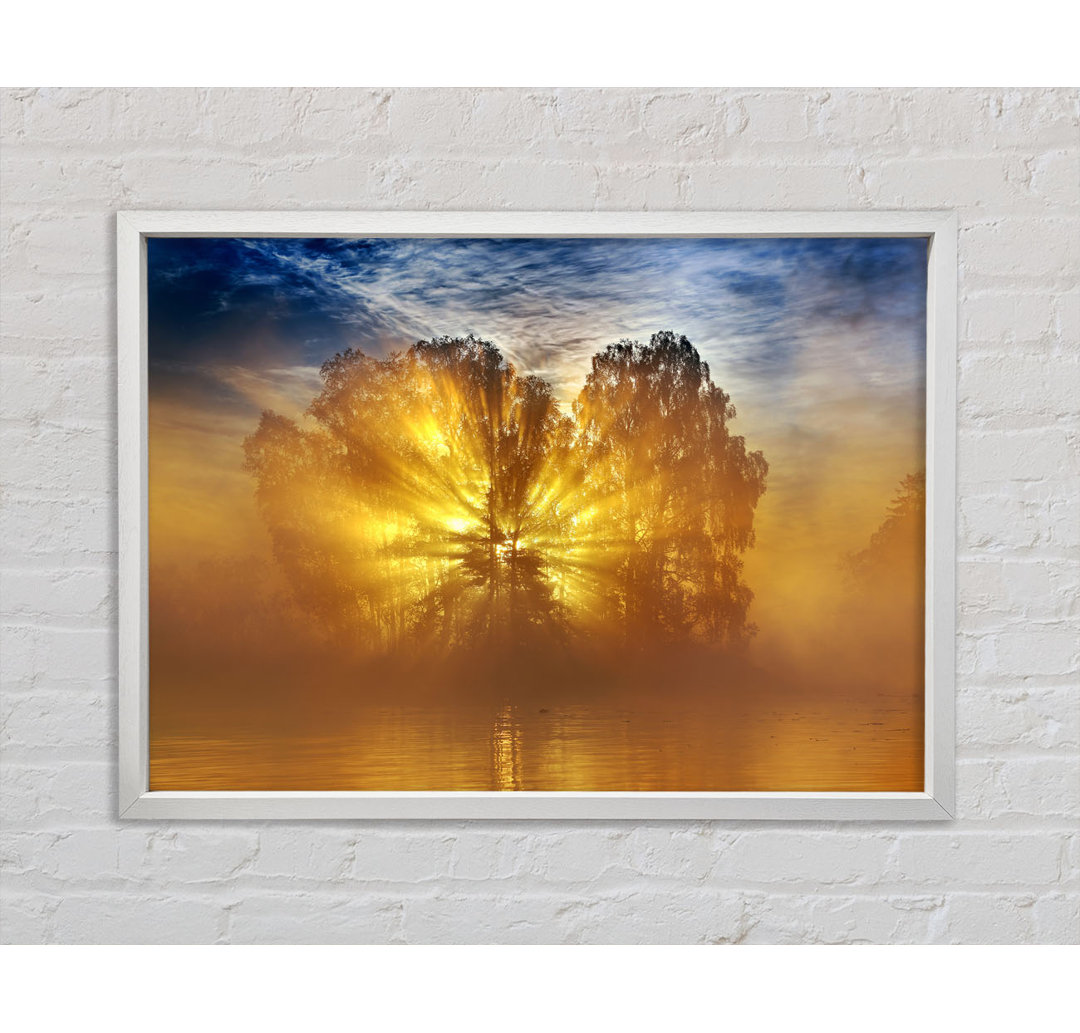 Golden Sunburst Tree - Einzelner Bilderrahmen Kunstdrucke auf Leinwand