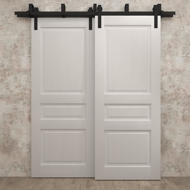 Portes coulissantes de grange coulissantes pour garde-robe | Ego 5012 | Ensemble de quincaillerie Modern Rails | Portes de garde-robe de chambre en bois massif