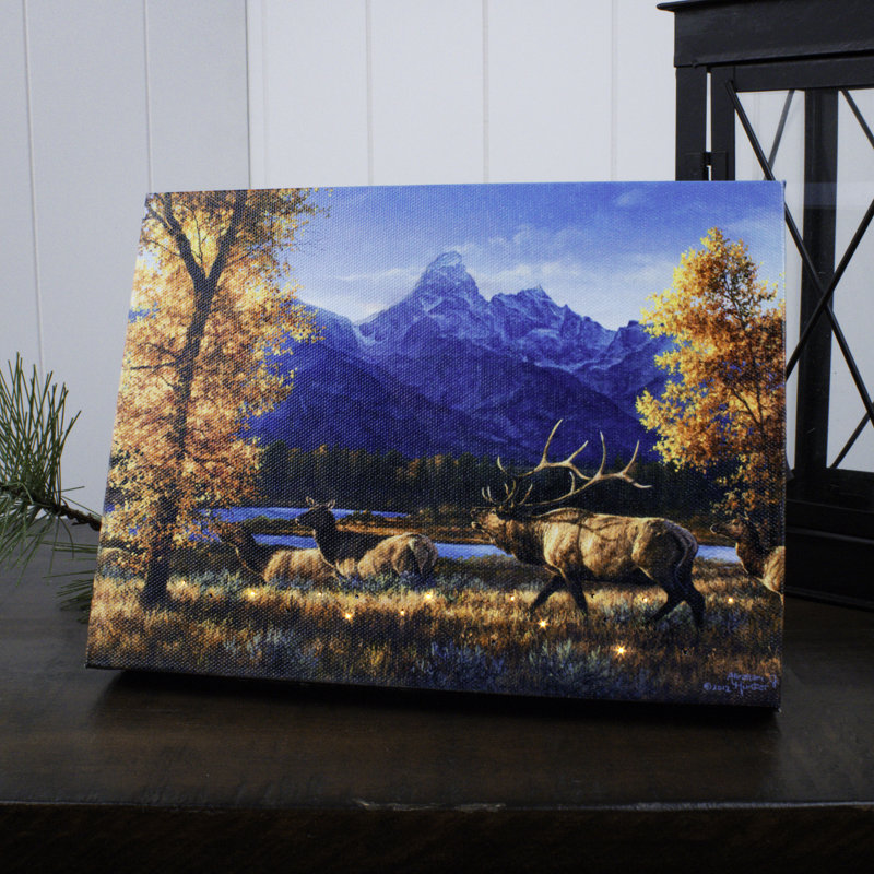 Toile de table éclairée 8 x 6 Teton Range