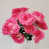 Fuchsia is out of stock