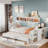 Matheny With Desk And Storage Shelves, Built-in Trundle And 3 Drawers-875428505