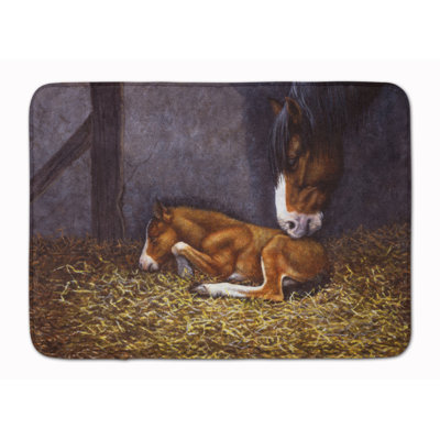 Memory Foam Non-Slip Bath Rug
