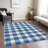 Colzie Checkered Indoor / Outdoor Rug-109583288