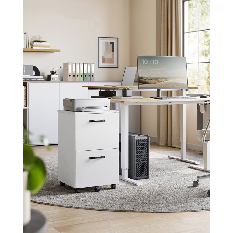 Franny 2 Drawer Filing Cabinet, White