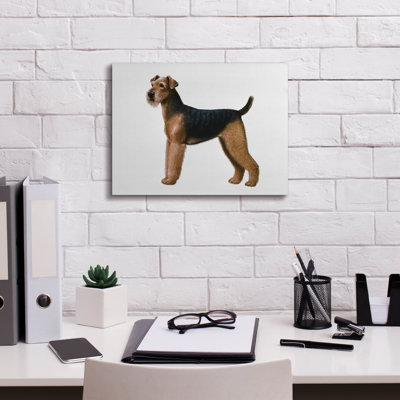 Epic Graffiti «Airdale Terrier» par Harro Maass, Ca Epic Graffiti «Airdale Terrier» par Harro Maass, Ca Airdale Terrier par Harro Maass