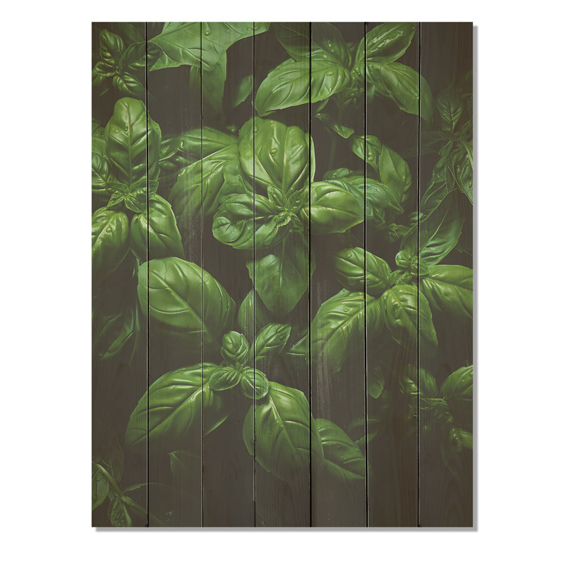 Herbes Basil Vibrance IV - Herbes florales sur bois, H 20 po x l 10 po