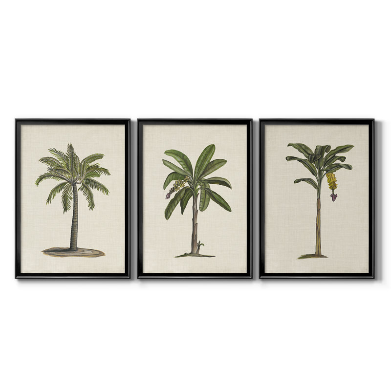 3 pièces, UK CH British Palms I - Toile tendue avec châssis encadré, H 19 po x l 27 po, Noir