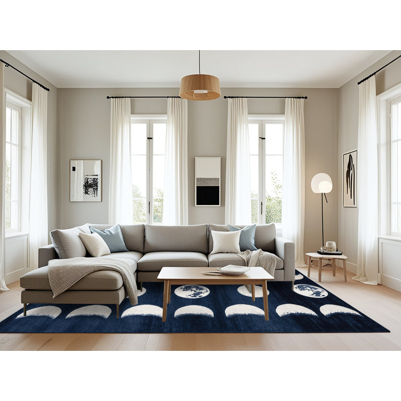 Tapis gris lavable à la machine, Rectangle 6 pi x 9 pi