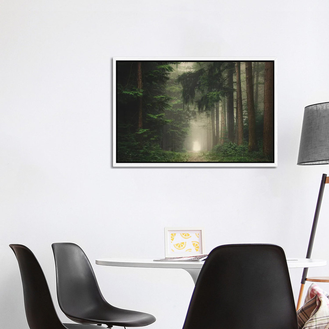 Grüner nebliger und stimmungsvoller Wald von Rob Visser - Galerie-verpackte Leinwand Giclée