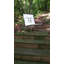 Killingsworth Outdoor Lounge Chair-1137984147