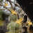 Eisele Indoor 30 - Bulb 256'' Solar Powered LED String Light