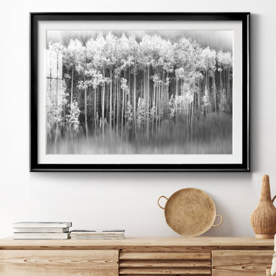 Dreamy Aspen - Photographie avec cadre photo