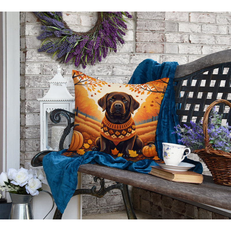 Other/No Pattern Outdoor Throw Pillow, 18" x 18"