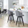 Capuano 26" Fixed-Height Counter Stool With Round Footrest - Set Of 2