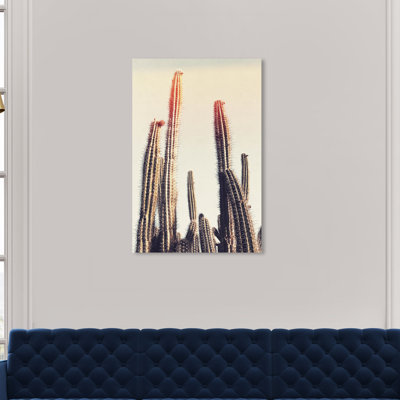 " Cactus Lighting Bright Botanicals "