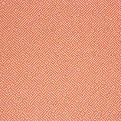 Tissu Suite Amazed Caribe