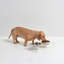 Clear Elevated Feeder with Silver Bowls-1020605287