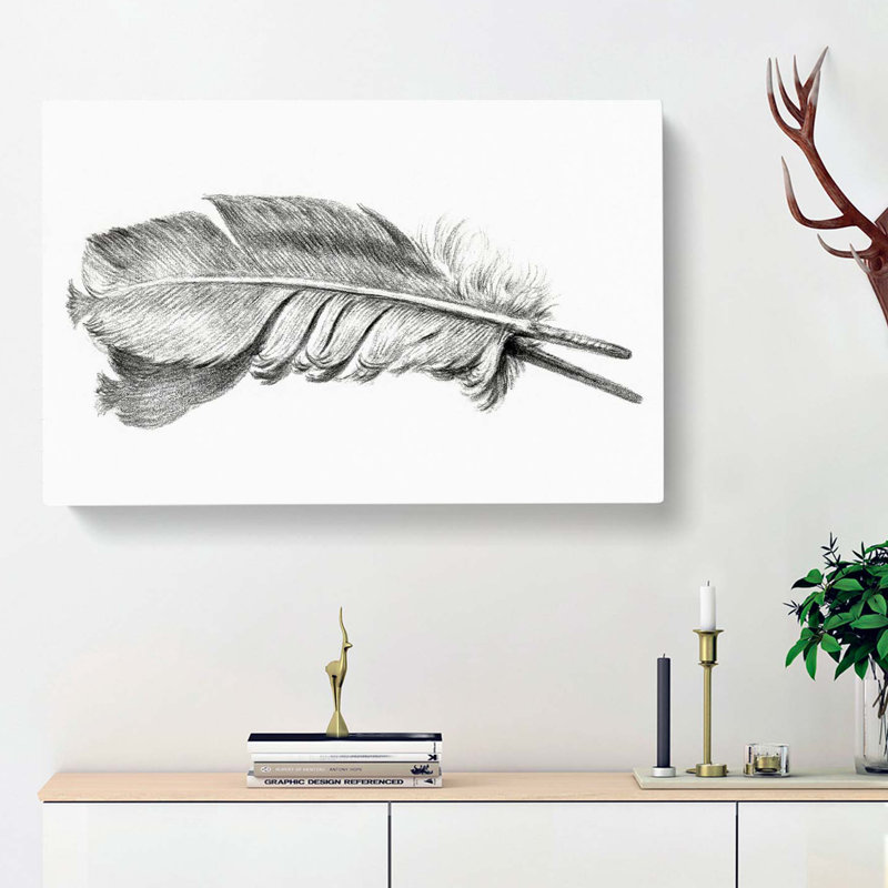 Feather by Jean Bernard - Wrapped Canvas, 50cm H x 76cm W x 3cm D