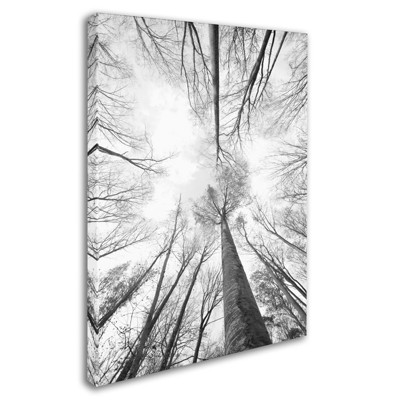 «Recall the Days», reproduction de photo sur toile tendue, H 24 po x l 16 po x P 2 po