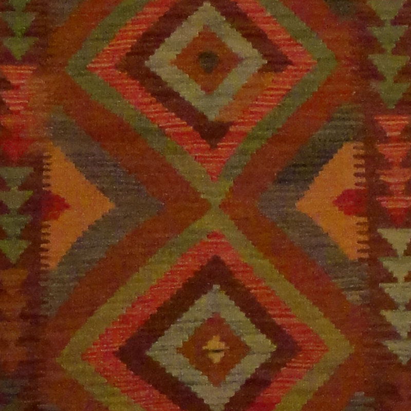 Azpeitia Wool Southwestern Indoor Rug