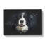 Portrait Of A Border Collie Dog - Wrapped Canvas Painting-56645558