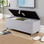 Philone Fabric Upholstered Storage Bench-1010769822