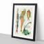 East Indies Fish Illustrations XIV by Louis Renard - Picture Frame Graphic Art Print-55537113-55537115