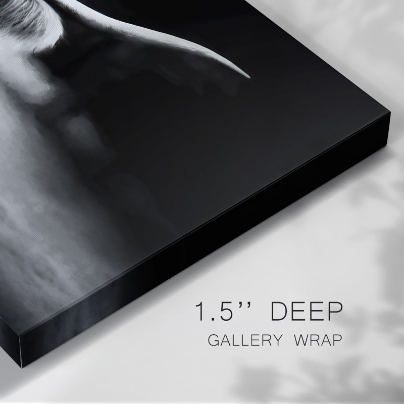 Photography Study Highland Cattle-Gallery Wrapped Canvas