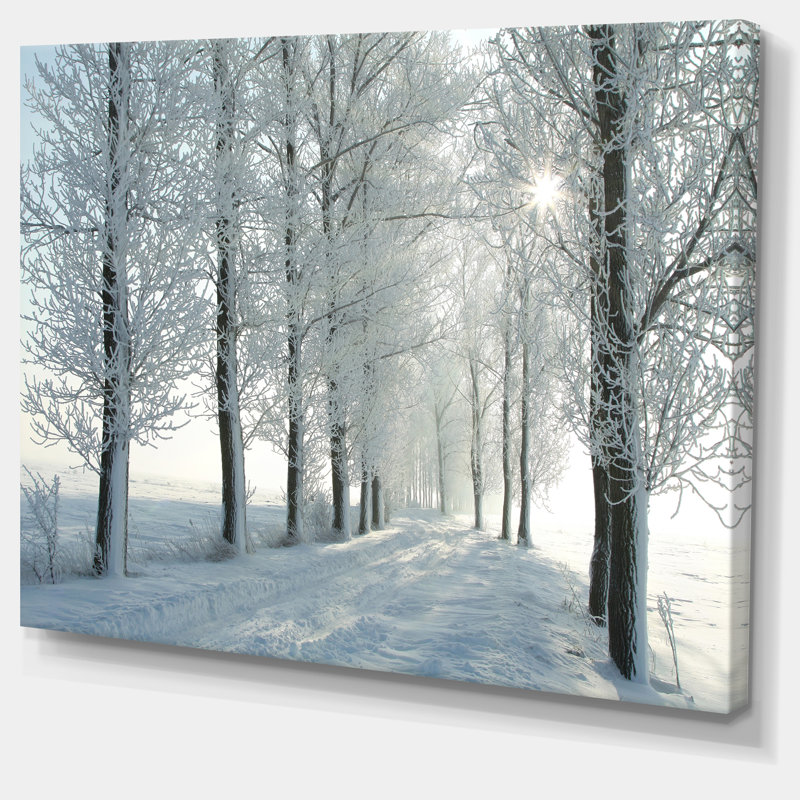 Paysage, paysage d'hiver, arbres rétro-éclairés, photographie sur toile du matin, H 8 po x l 12 po x P 1 po