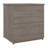 Oshinski 2 Drawer Lateral File-289721032