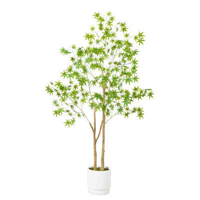 6ft. Artificial Maple Tree with White Planter