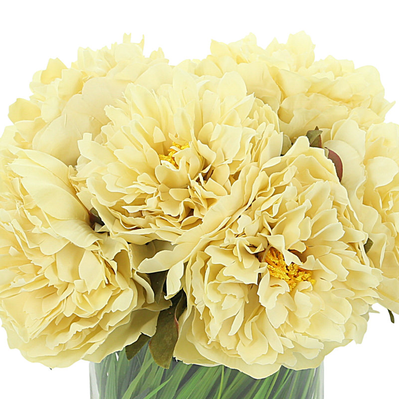 Peonies Floral Arrangement in Vase, Cream