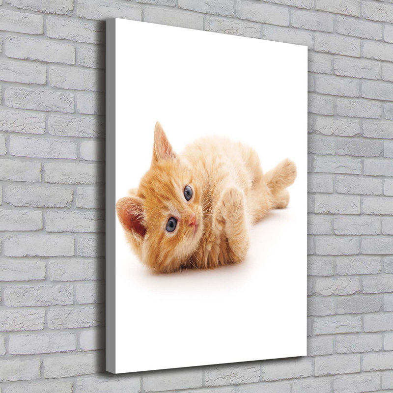Little Red Cat - Wrapped Canvas Print