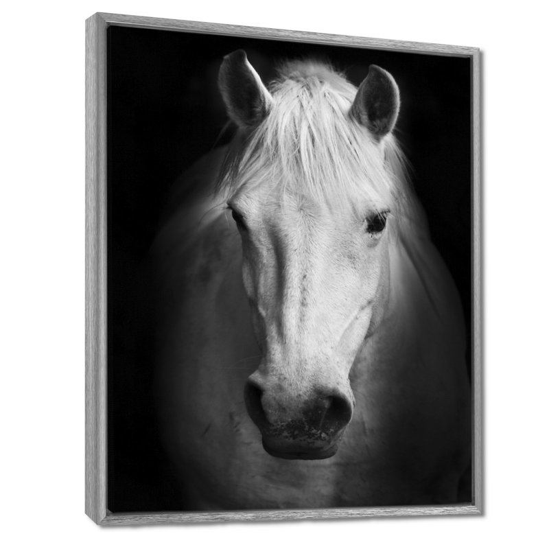 Cheval, reproduction d'art sur toile, cheval noir et blanc, H 32 po x l 16 po, Reproduction avec cadre flottant, Argent