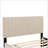 Velvet Upholstered Platform Bed with Trundle-106492948-112511389